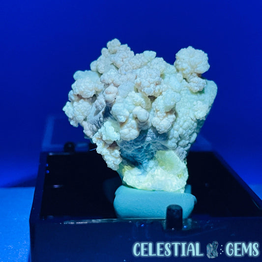 Gypsum + UV Phosphorescent Aragonite Mini Specimen in Box (Video)