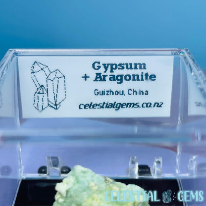 Gypsum + UV Phosphorescent Aragonite Mini Specimen in Box (Video)