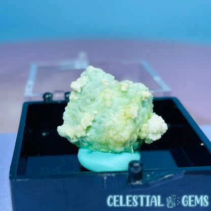 Gypsum + UV Phosphorescent Aragonite Mini Specimen in Box (Video)