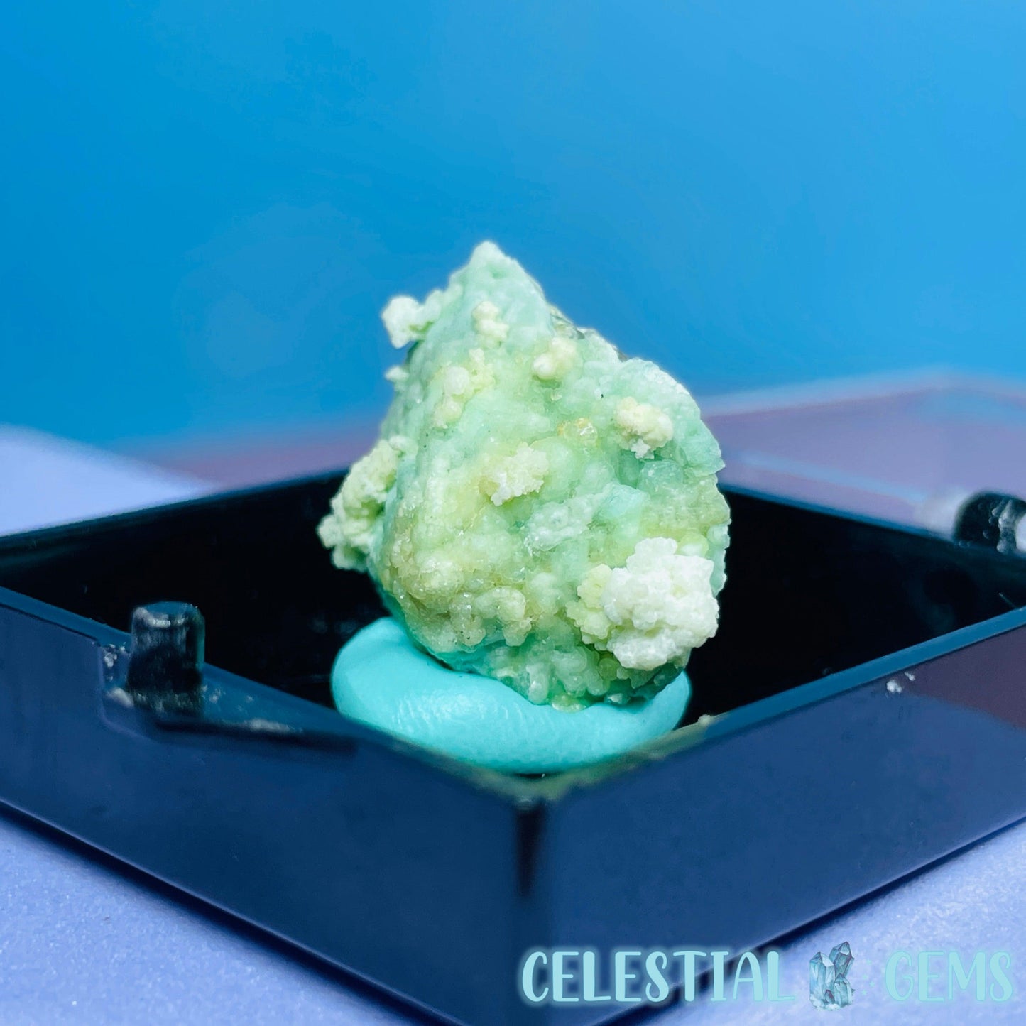 Gypsum + UV Phosphorescent Aragonite Mini Specimen in Box (Video)