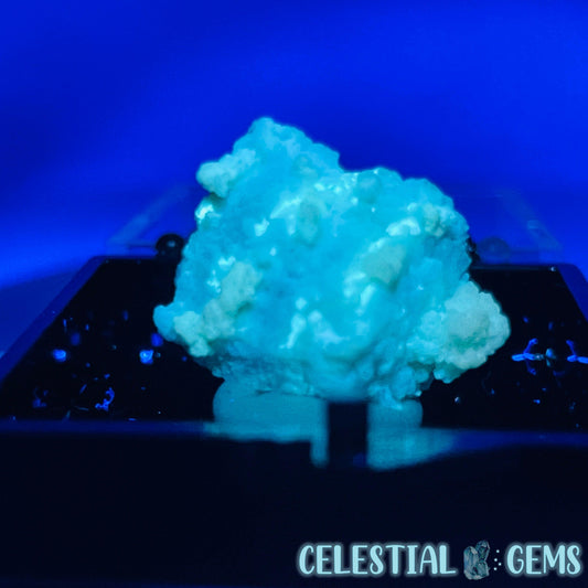 Gypsum + UV Phosphorescent Aragonite Mini Specimen in Box (Video)