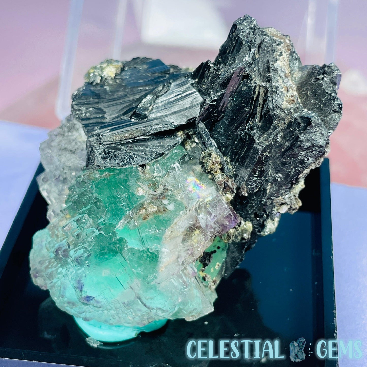 Yaogangxian Stepped Fluorite + Wolframite, Chlorite + Pyrite Specimen in Box