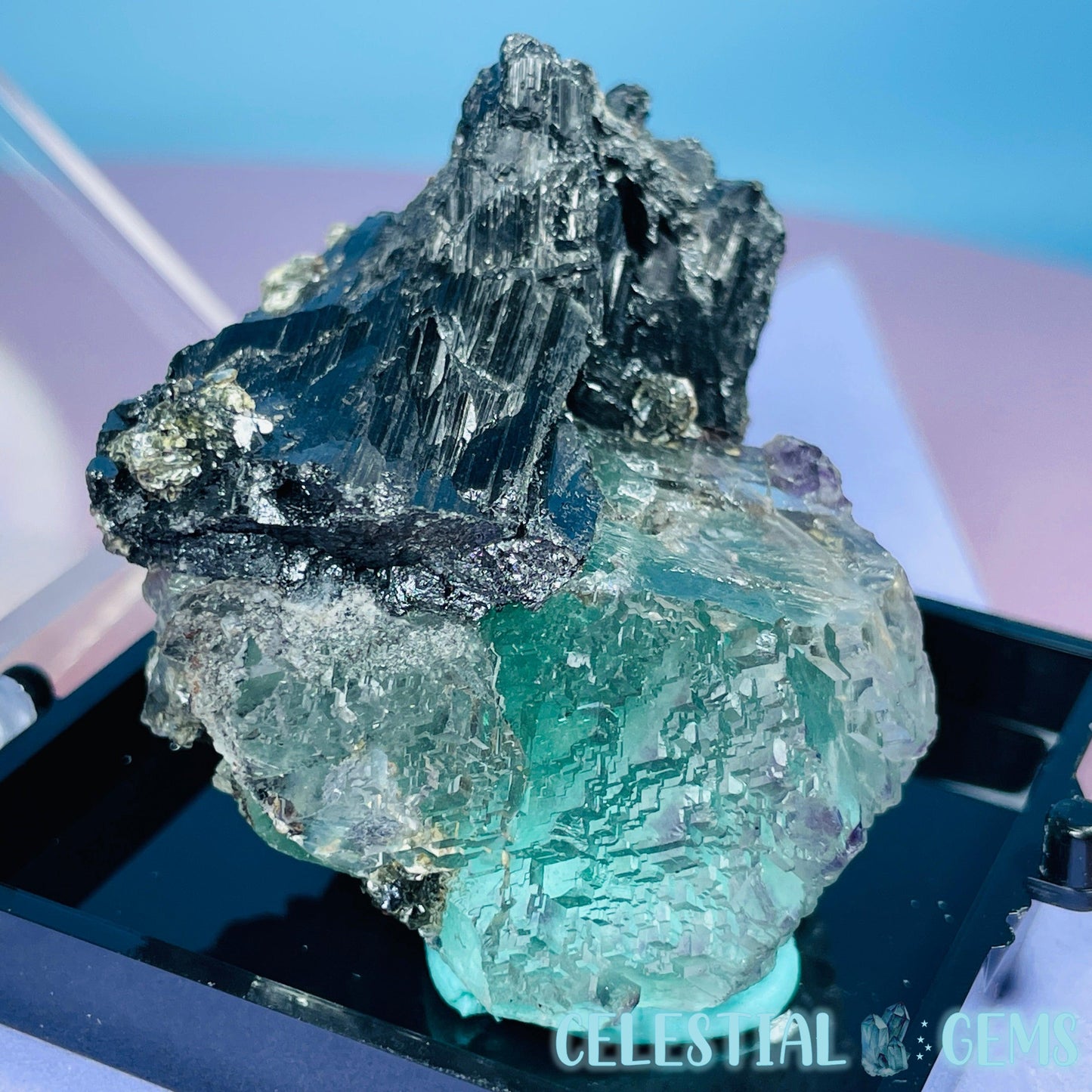 Yaogangxian Stepped Fluorite + Wolframite, Chlorite + Pyrite Specimen in Box