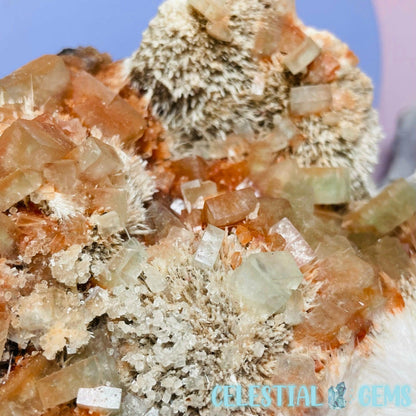 RARE Green Cubic Apophyllite + Stilbite + Scolecite Large Cluster Specimen