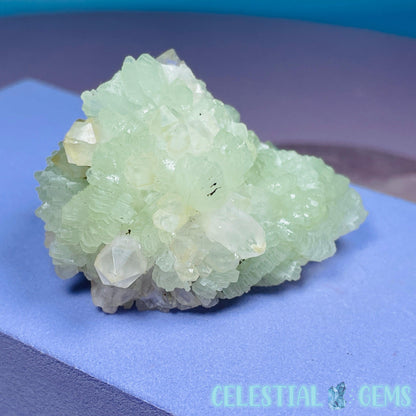 Prehnite + Quartz Mini Cluster Specimen