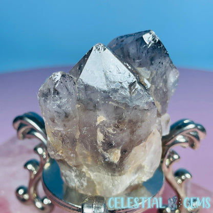 Quartz + Specular Hematite Small Cluster Specimen (Video)