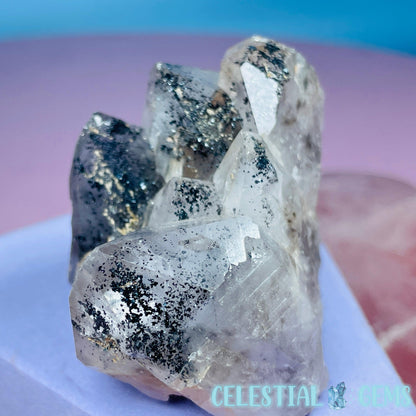 Quartz + Specular Hematite Small Cluster Specimen (Video)