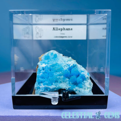 RARE Allophane Small Specimen