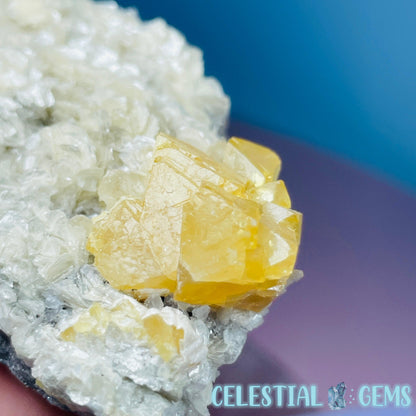 Rare Scheelite Gemstone in Muscovite Mica Cluster Small Specimen