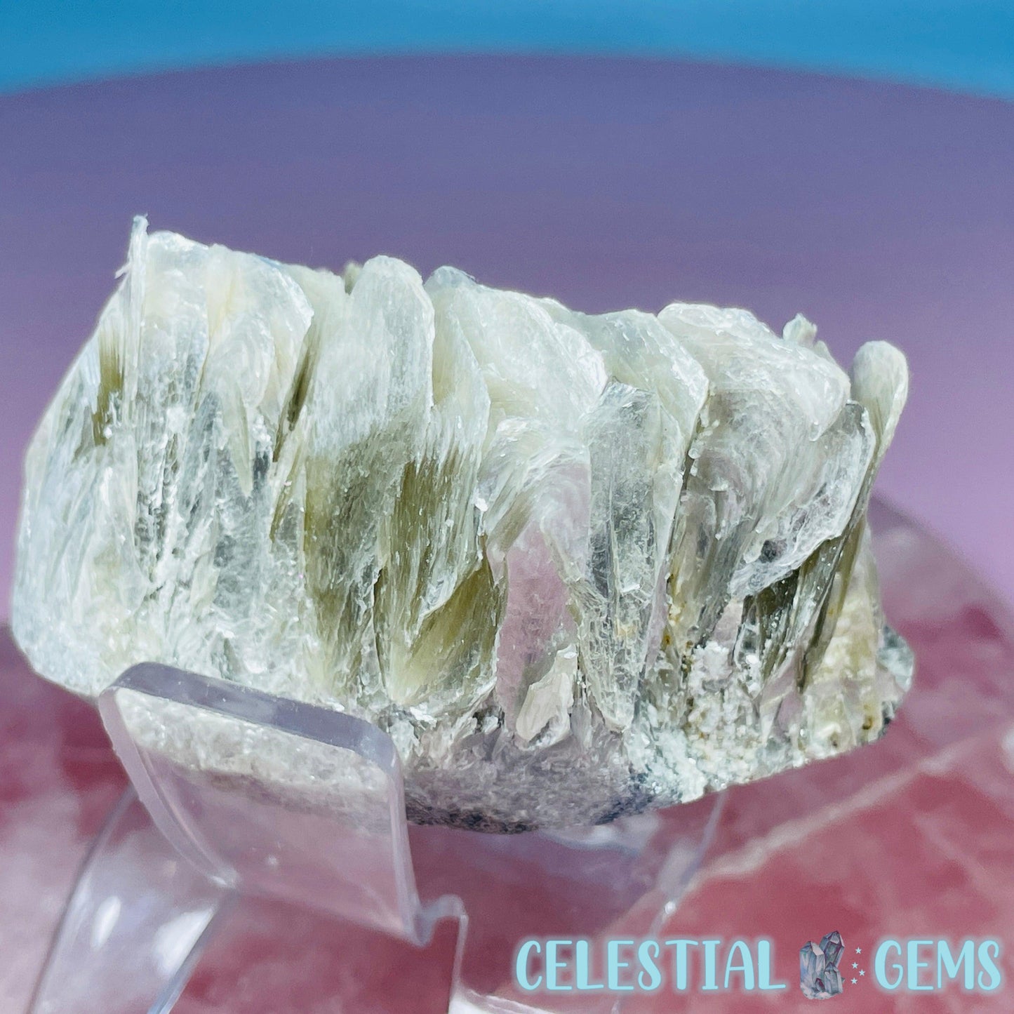 Rare Scheelite Gemstone in Muscovite Mica Cluster Small Specimen