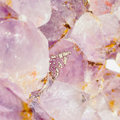 Amethyst Large Standing Cluster (Video)