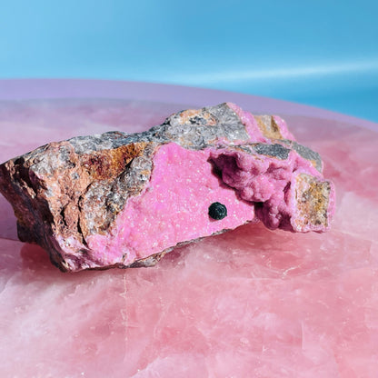 Cobaltocalcite 'Salrose' on Dolomite with Botryoidal Malachite Raw Cluster Small Specimen (Video)