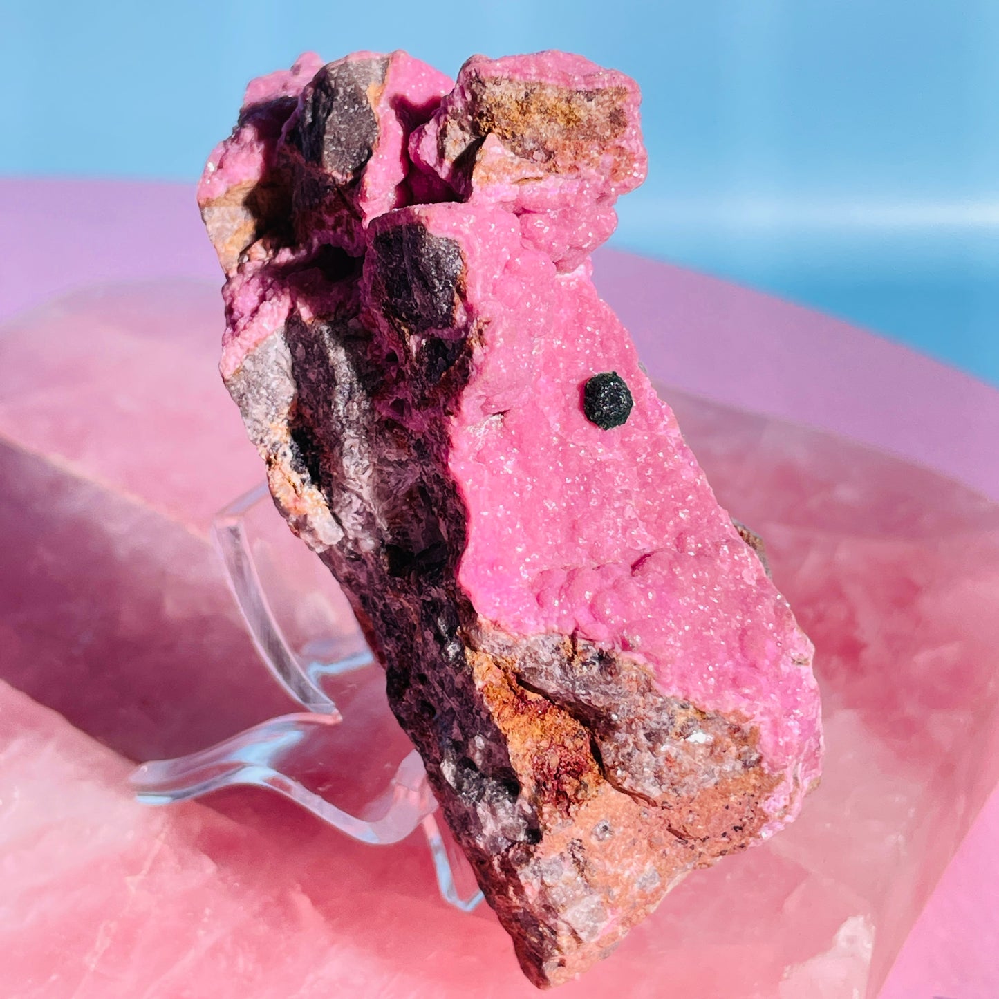 Cobaltocalcite 'Salrose' on Dolomite with Botryoidal Malachite Raw Cluster Small Specimen (Video)