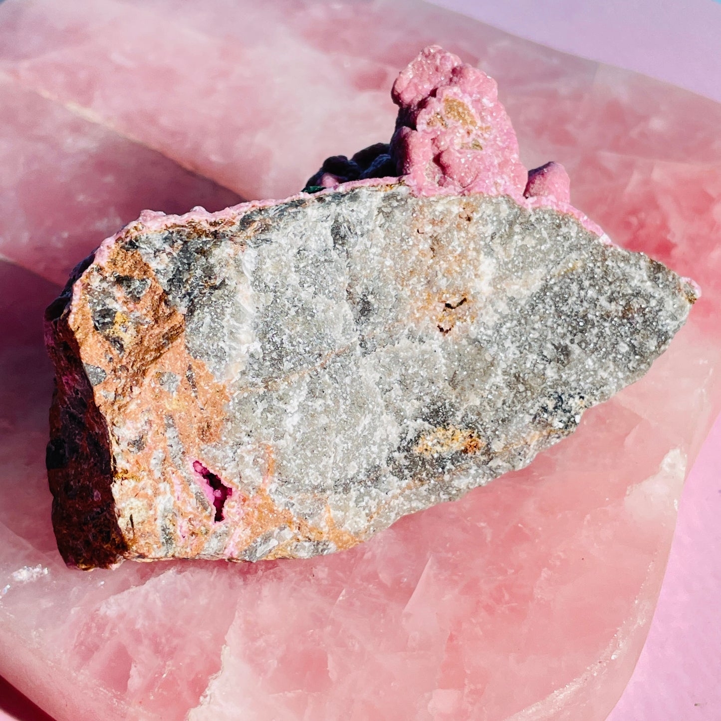 Cobaltocalcite 'Salrose' on Dolomite with Botryoidal Malachite Raw Cluster Small Specimen (Video)