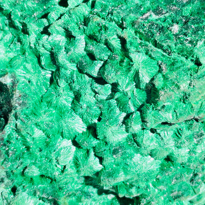 Velvet Silky Malachite Medium Raw Cluster Specimen (Video)