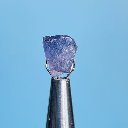 Tanzanite Mini Crystal in Specimen Pottle (Video)