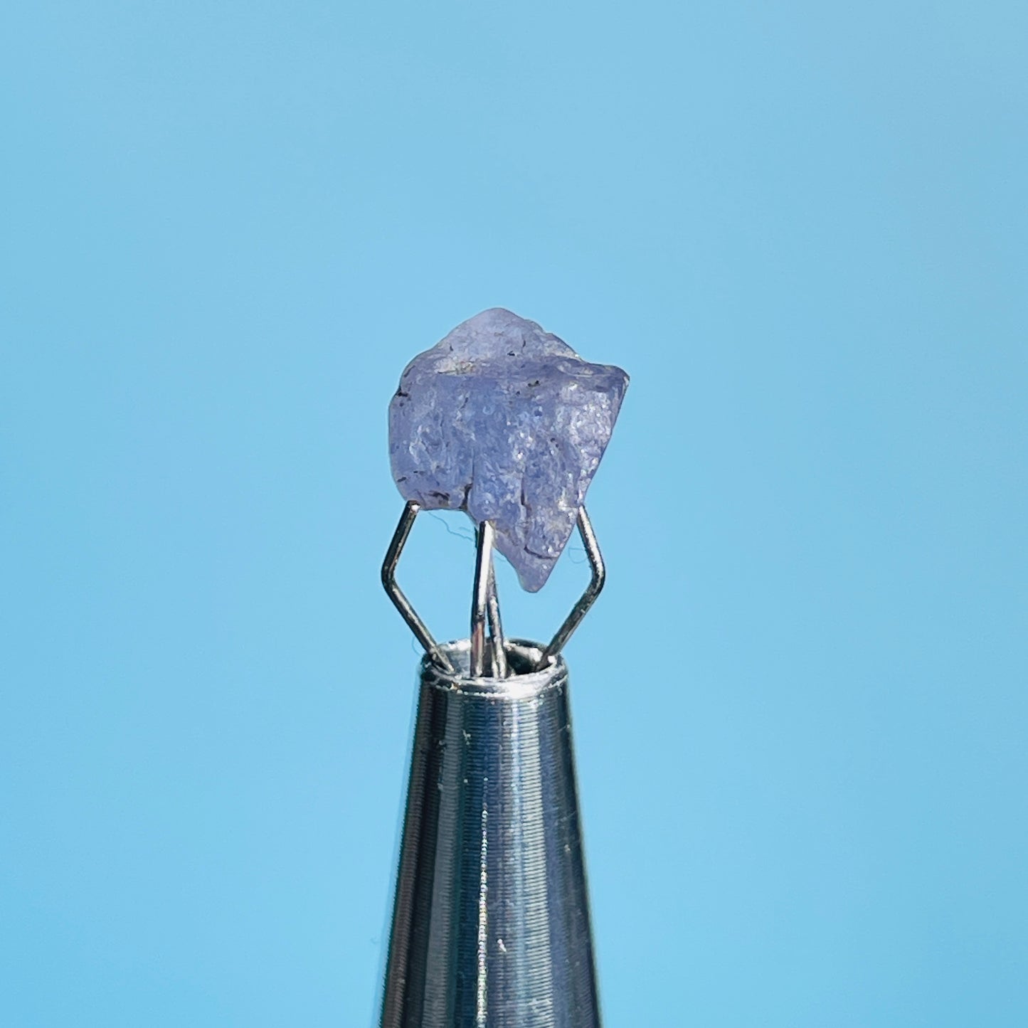 Tanzanite Mini Crystal in Specimen Pottle (Video)