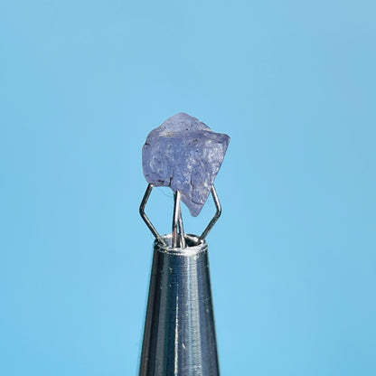 Tanzanite Mini Crystal in Specimen Pottle (Video)