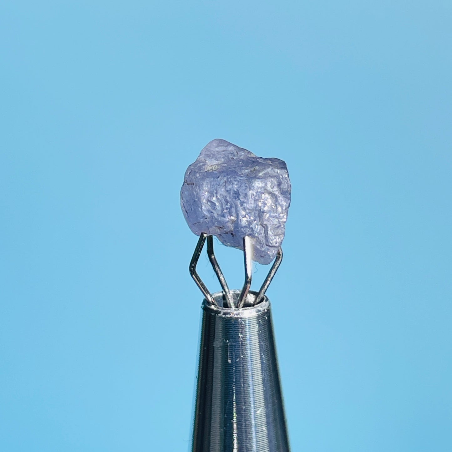 Tanzanite Mini Crystal in Specimen Pottle (Video)