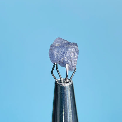 Tanzanite Mini Crystal in Specimen Pottle (Video)