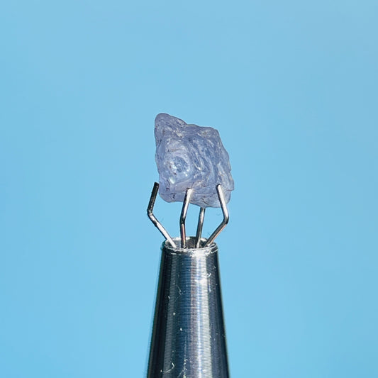 Tanzanite Mini Crystal in Specimen Pottle (Video)