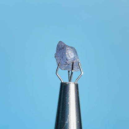 Tanzanite Mini Crystal in Specimen Pottle (Video)