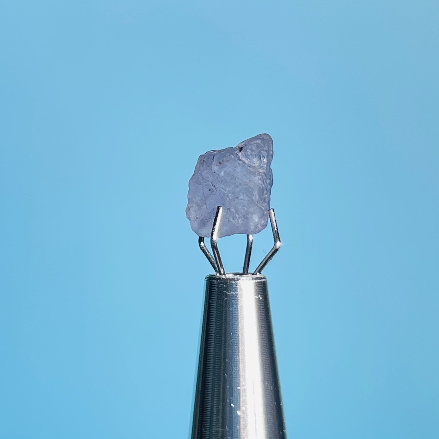 Tanzanite Mini Crystal in Specimen Pottle (Video)