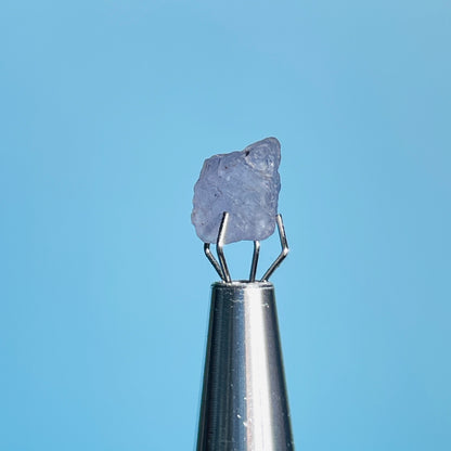 Tanzanite Mini Crystal in Specimen Pottle (Video)