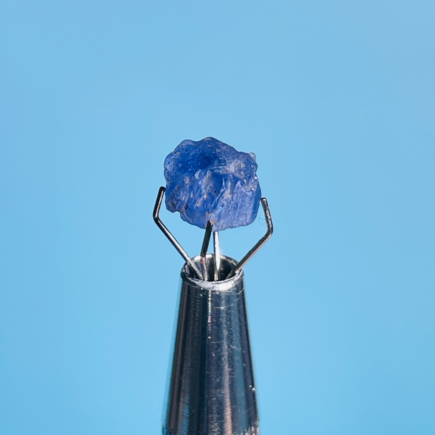 Tanzanite Mini Crystal in Specimen Pottle (Video)