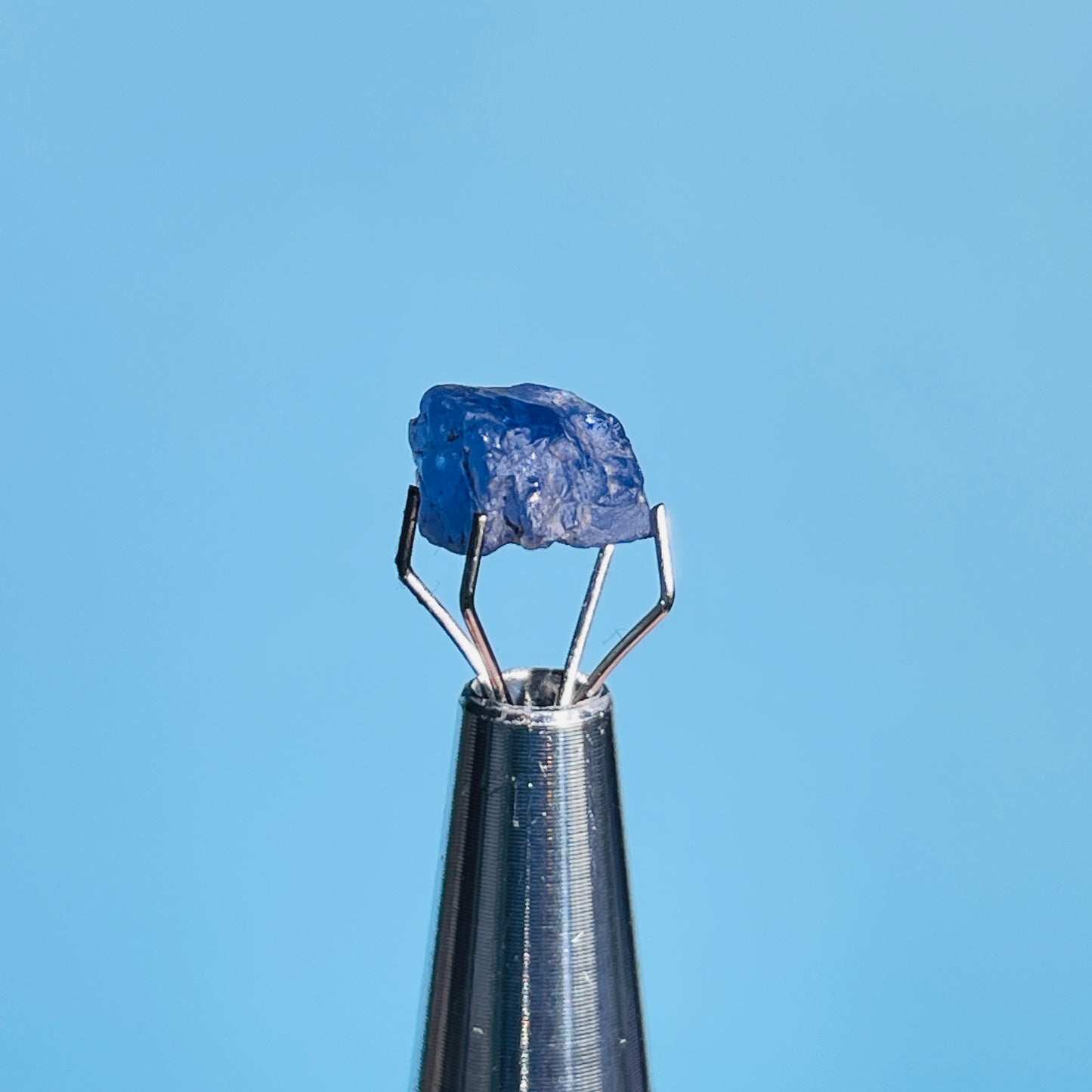 Tanzanite Mini Crystal in Specimen Pottle (Video)