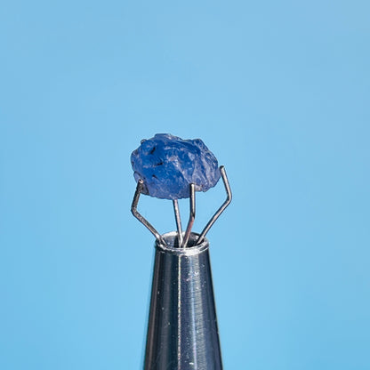 Tanzanite Mini Crystal in Specimen Pottle (Video)