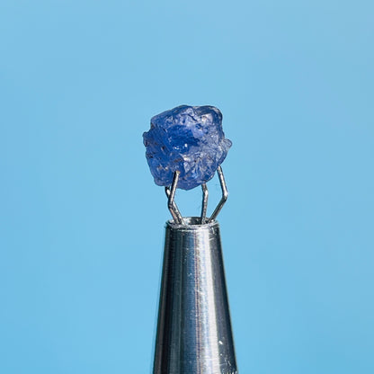 Tanzanite Mini Crystal in Specimen Pottle (Video)