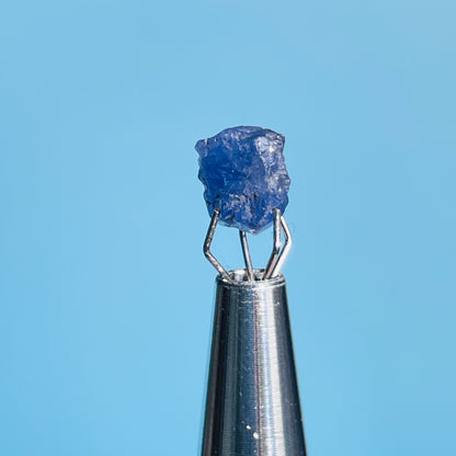 Tanzanite Mini Crystal in Specimen Pottle (Video)