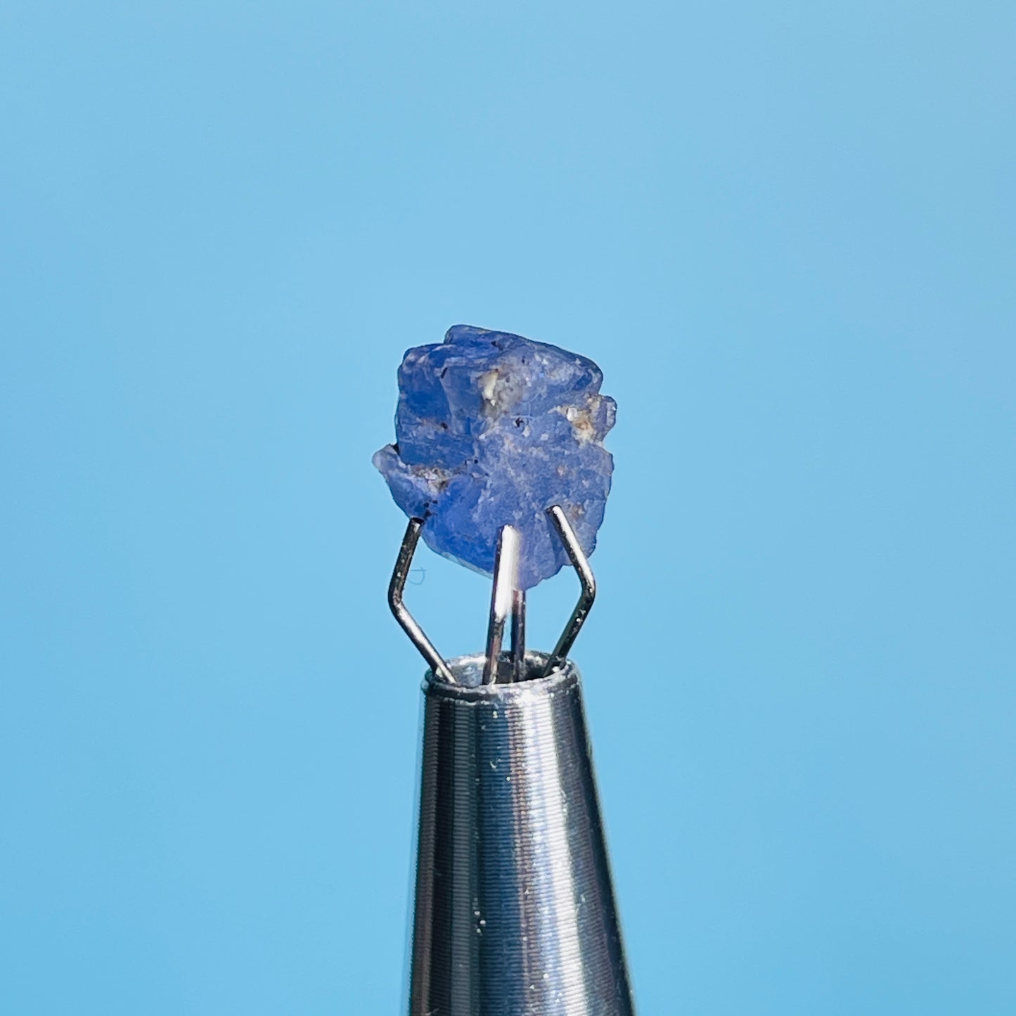Tanzanite Mini Crystal in Specimen Pottle (Video)