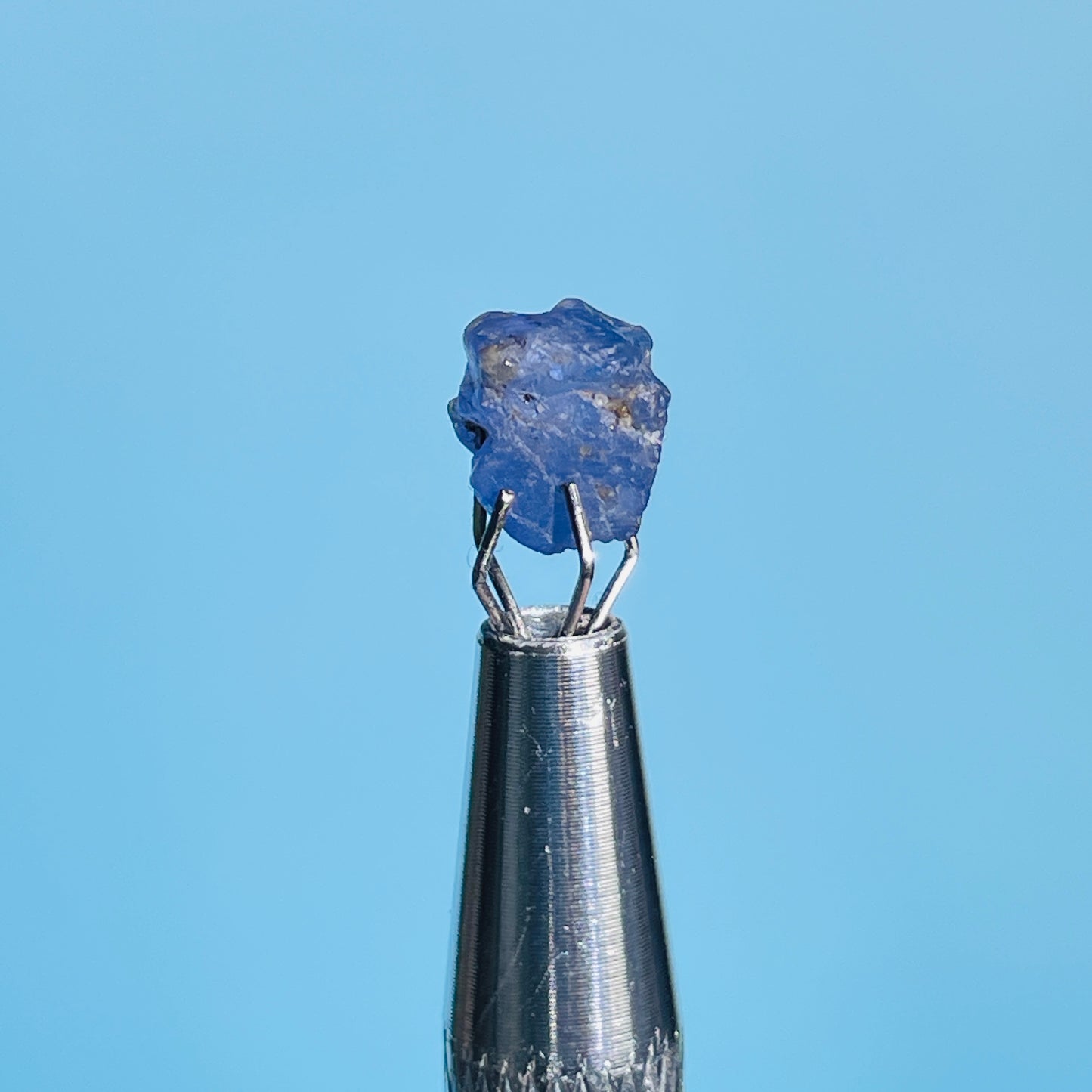 Tanzanite Mini Crystal in Specimen Pottle (Video)