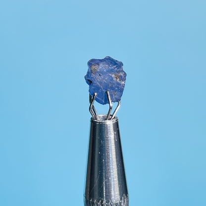 Tanzanite Mini Crystal in Specimen Pottle (Video)