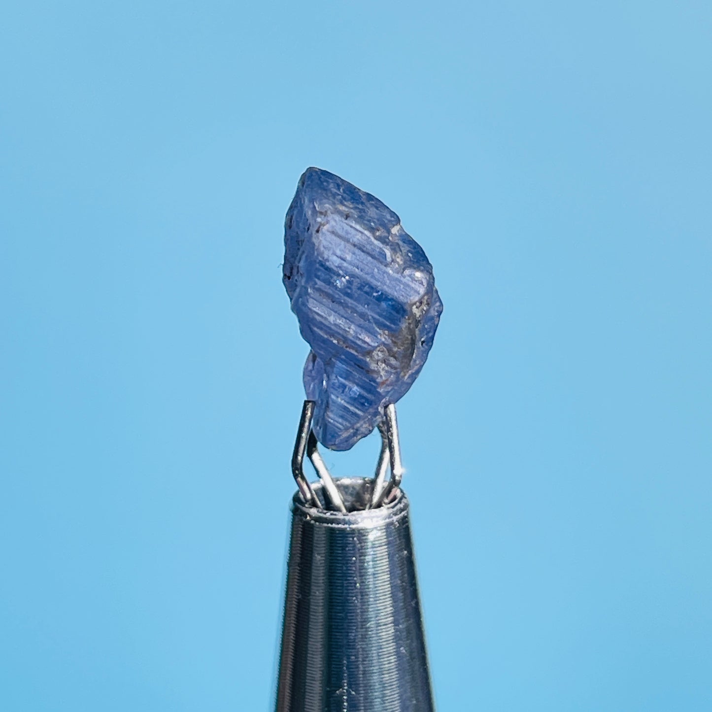 Tanzanite Mini Crystal in Specimen Pottle (Video)