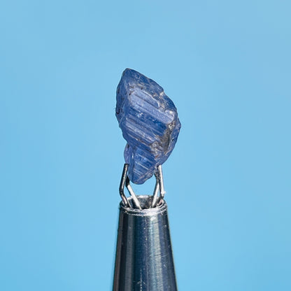 Tanzanite Mini Crystal in Specimen Pottle (Video)