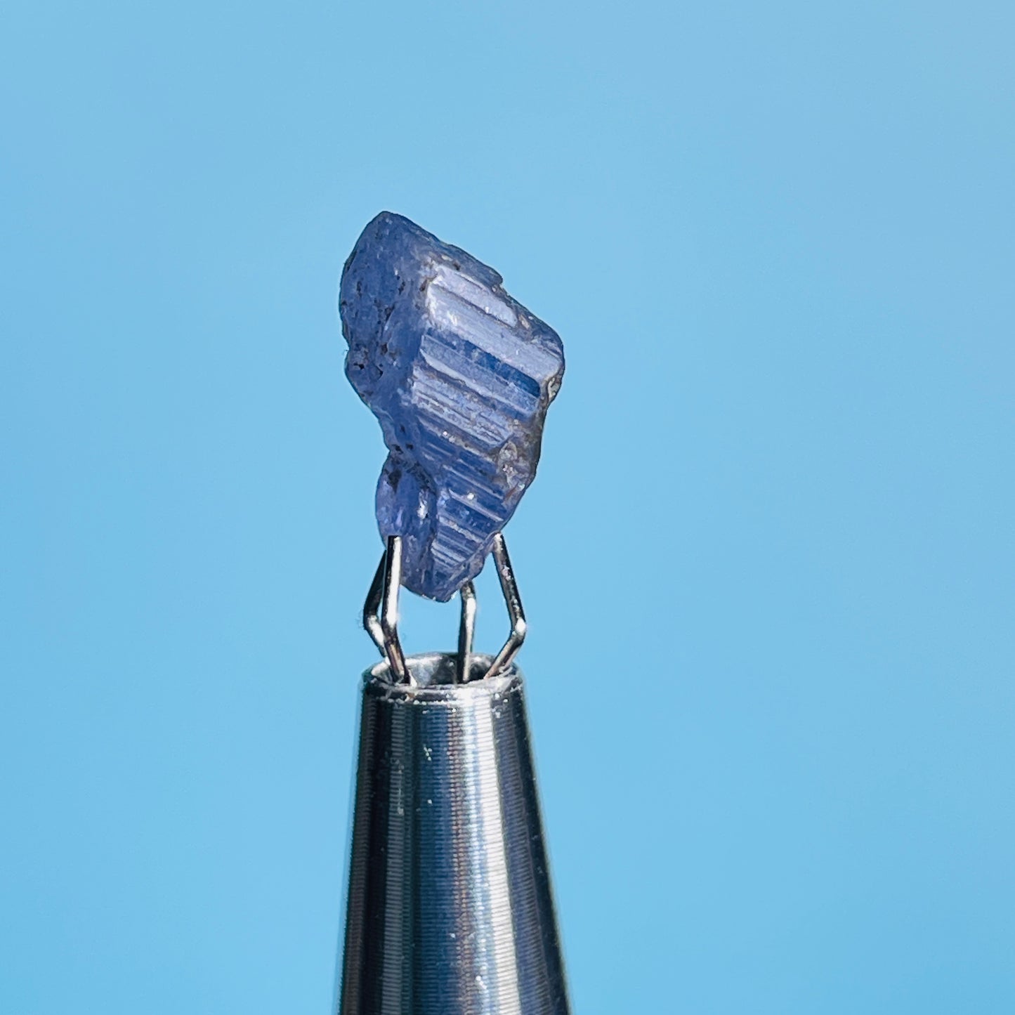 Tanzanite Mini Crystal in Specimen Pottle (Video)