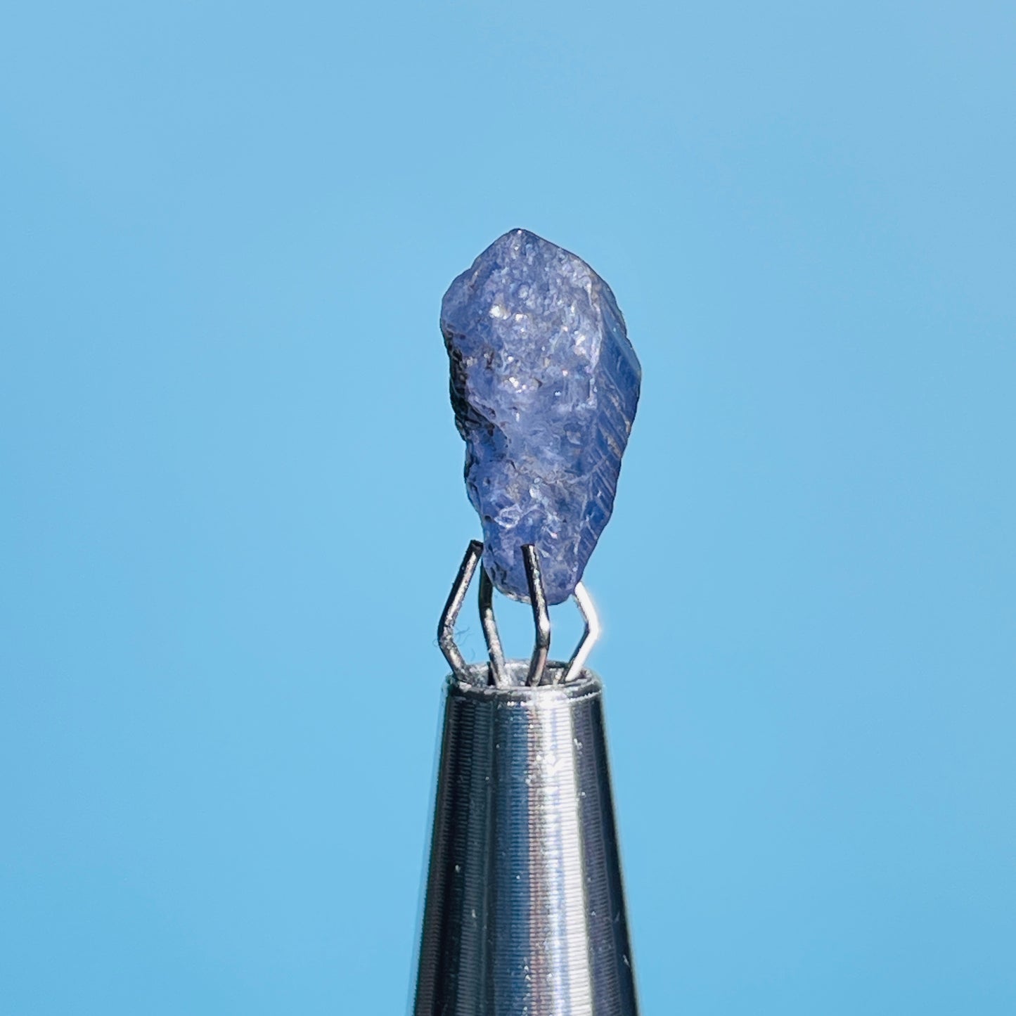 Tanzanite Mini Crystal in Specimen Pottle (Video)