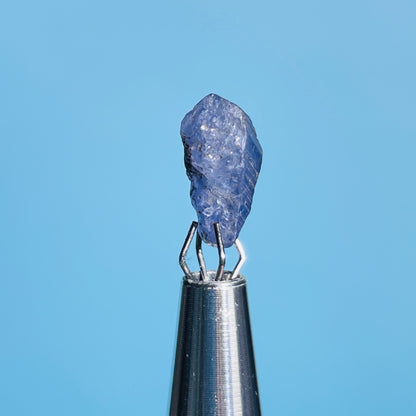 Tanzanite Mini Crystal in Specimen Pottle (Video)