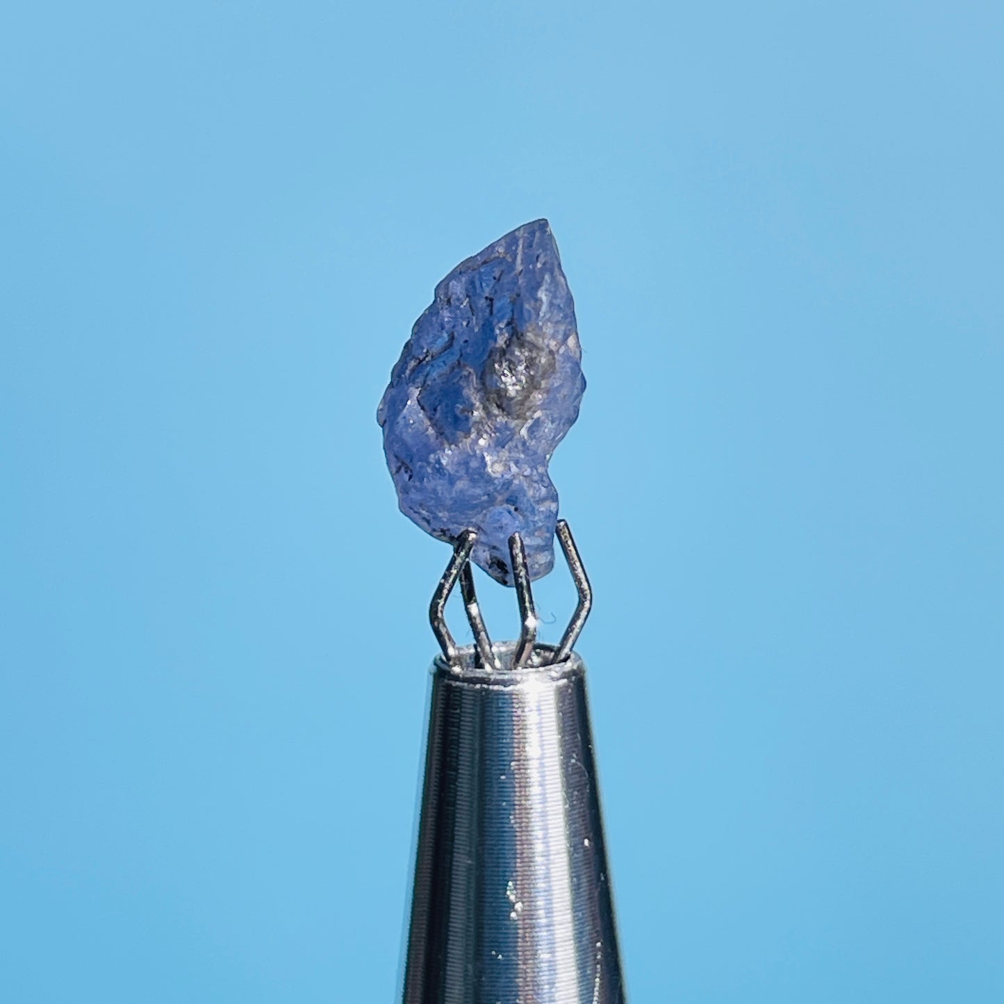 Tanzanite Mini Crystal in Specimen Pottle (Video)