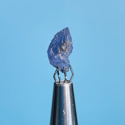 Tanzanite Mini Crystal in Specimen Pottle (Video)