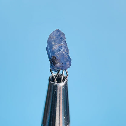 Tanzanite Mini Crystal in Specimen Pottle (Video)