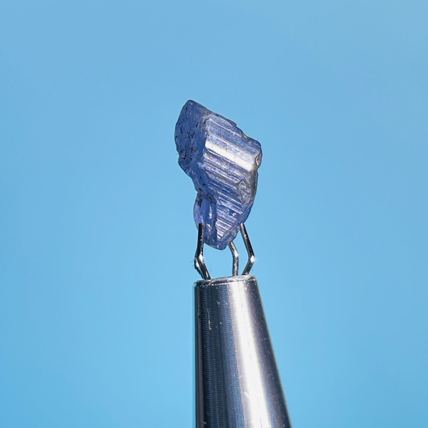 Tanzanite Mini Crystal in Specimen Pottle (Video)