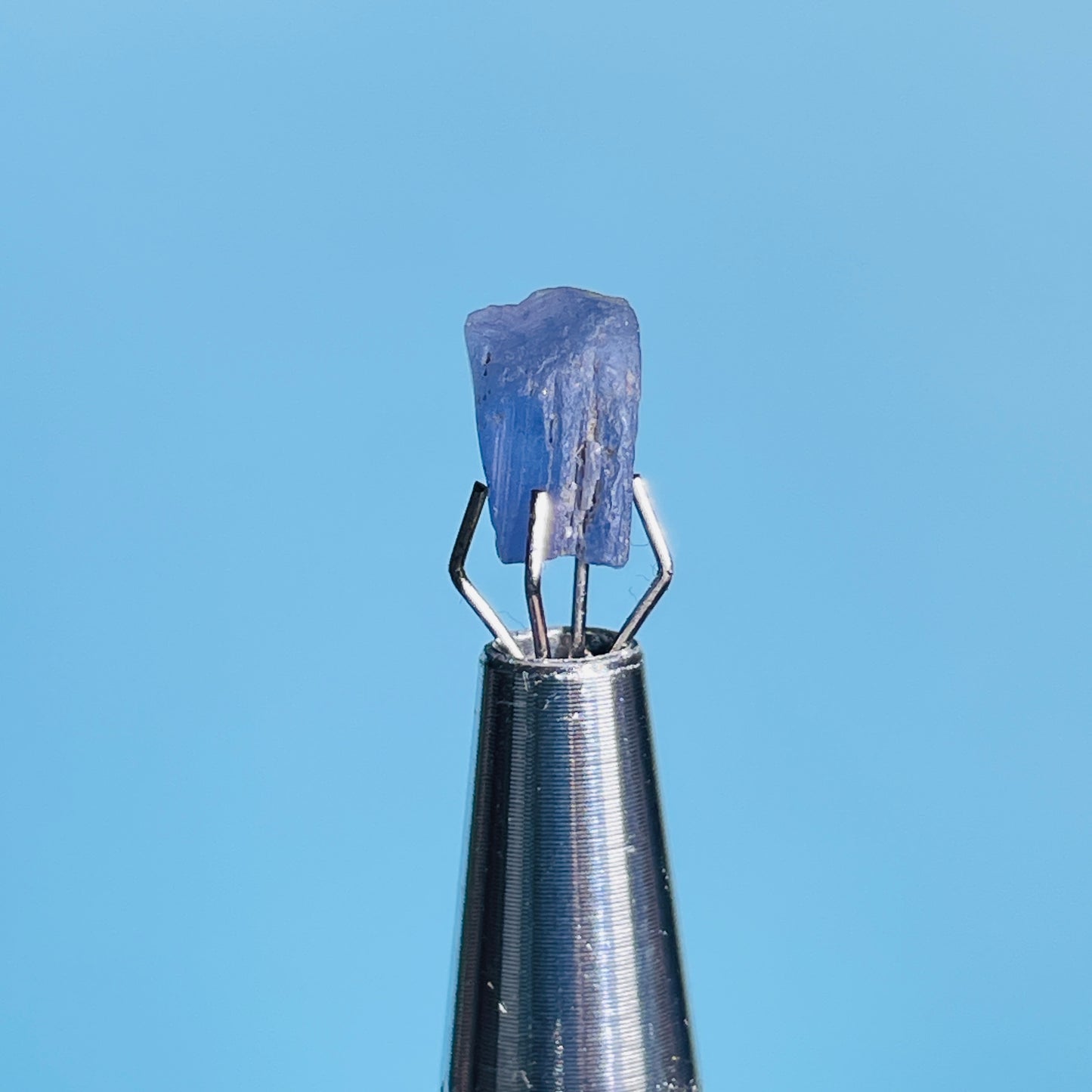 Tanzanite Mini Crystal in Specimen Pottle (Video)