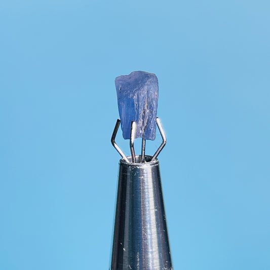 Tanzanite Mini Crystal in Specimen Pottle (Video)