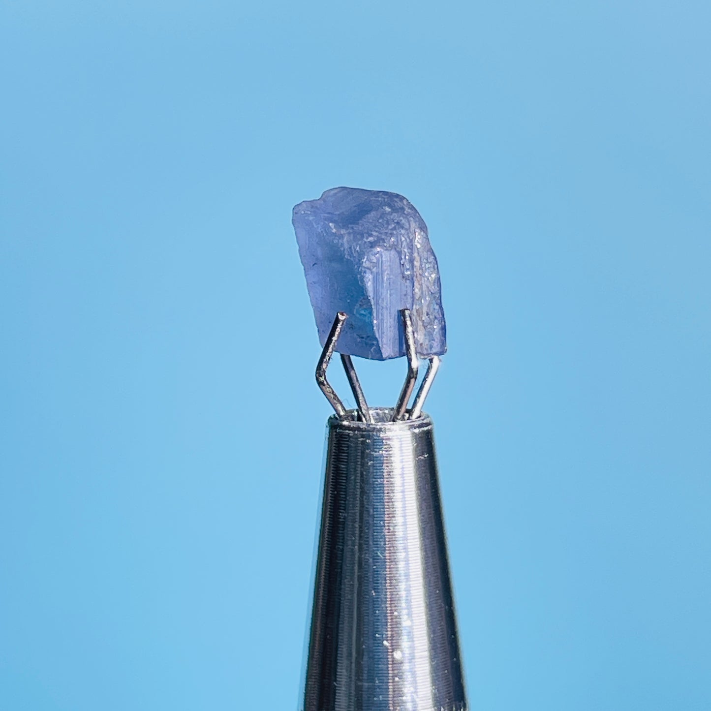 Tanzanite Mini Crystal in Specimen Pottle (Video)