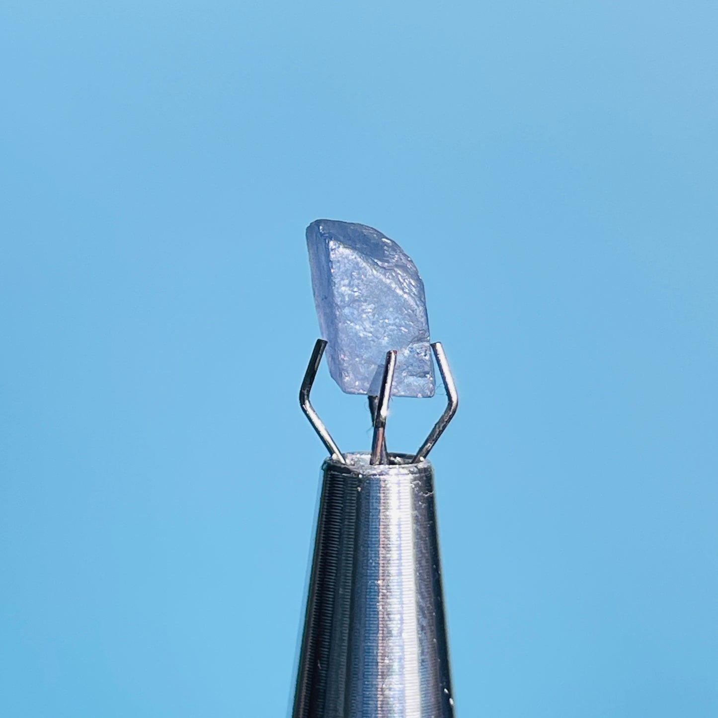 Tanzanite Mini Crystal in Specimen Pottle (Video)