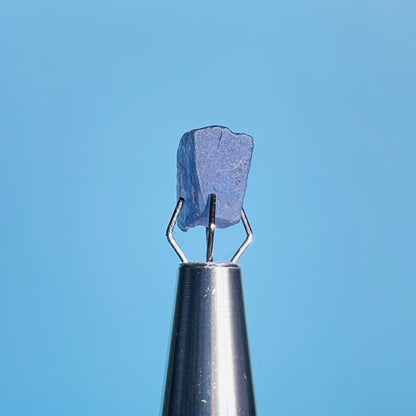 Tanzanite Mini Crystal in Specimen Pottle (Video)